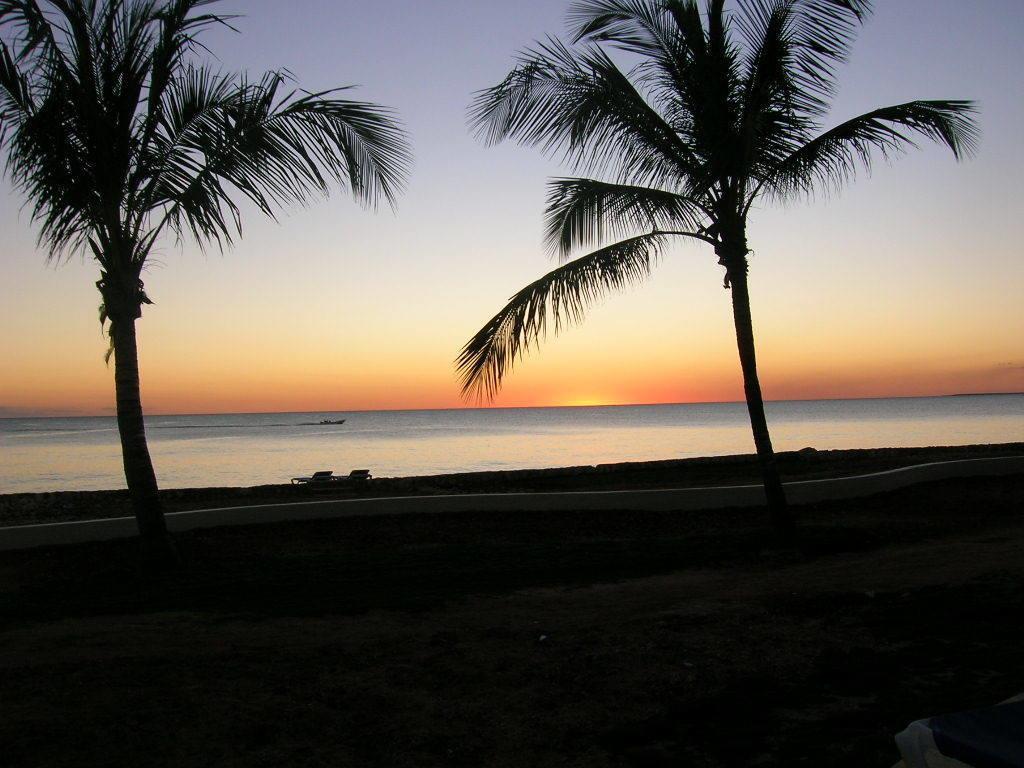 Caraibidamari Otel Bayahibe Oda fotoğraf