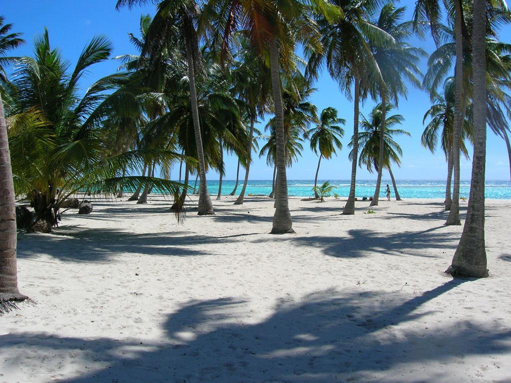 Caraibidamari Otel Bayahibe Oda fotoğraf