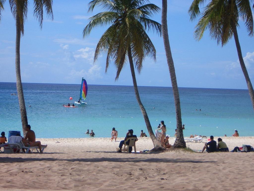 Caraibidamari Otel Bayahibe Oda fotoğraf
