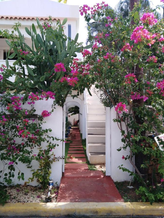 Caraibidamari Otel Bayahibe Dış mekan fotoğraf